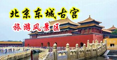用力插我好爽啊视频中国北京-东城古宫旅游风景区